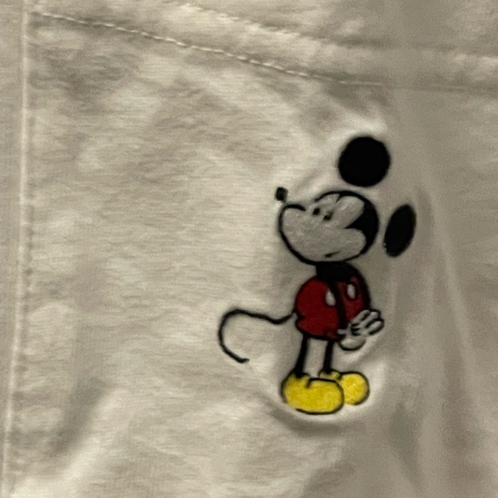 Mickey - Picture 3 of 5